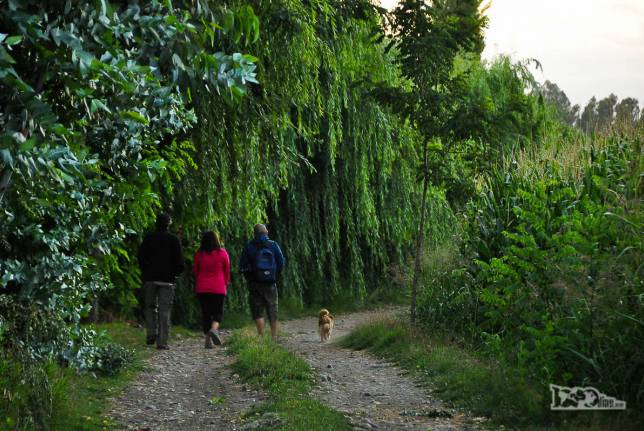 Caminhando com o Pablo e a Andrea em estrada rural próxima a casa deles, na região de Rengo, ao sul de Santiago, no Chile